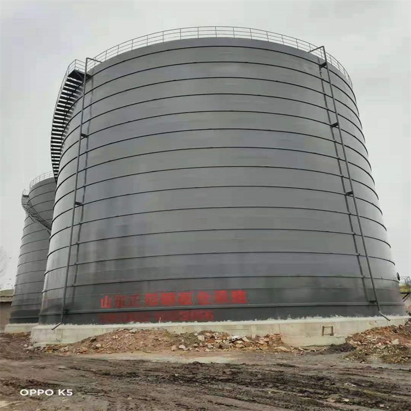 射洪3万吨大型钢板库