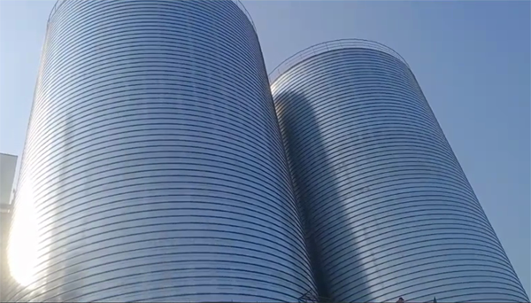 射洪2座混凝土高架卷板仓